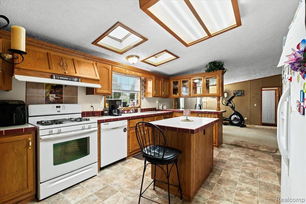 4475 Single Tree Drive Howell, MI 48843 - Photo 10 of 35 Gallery Image 10