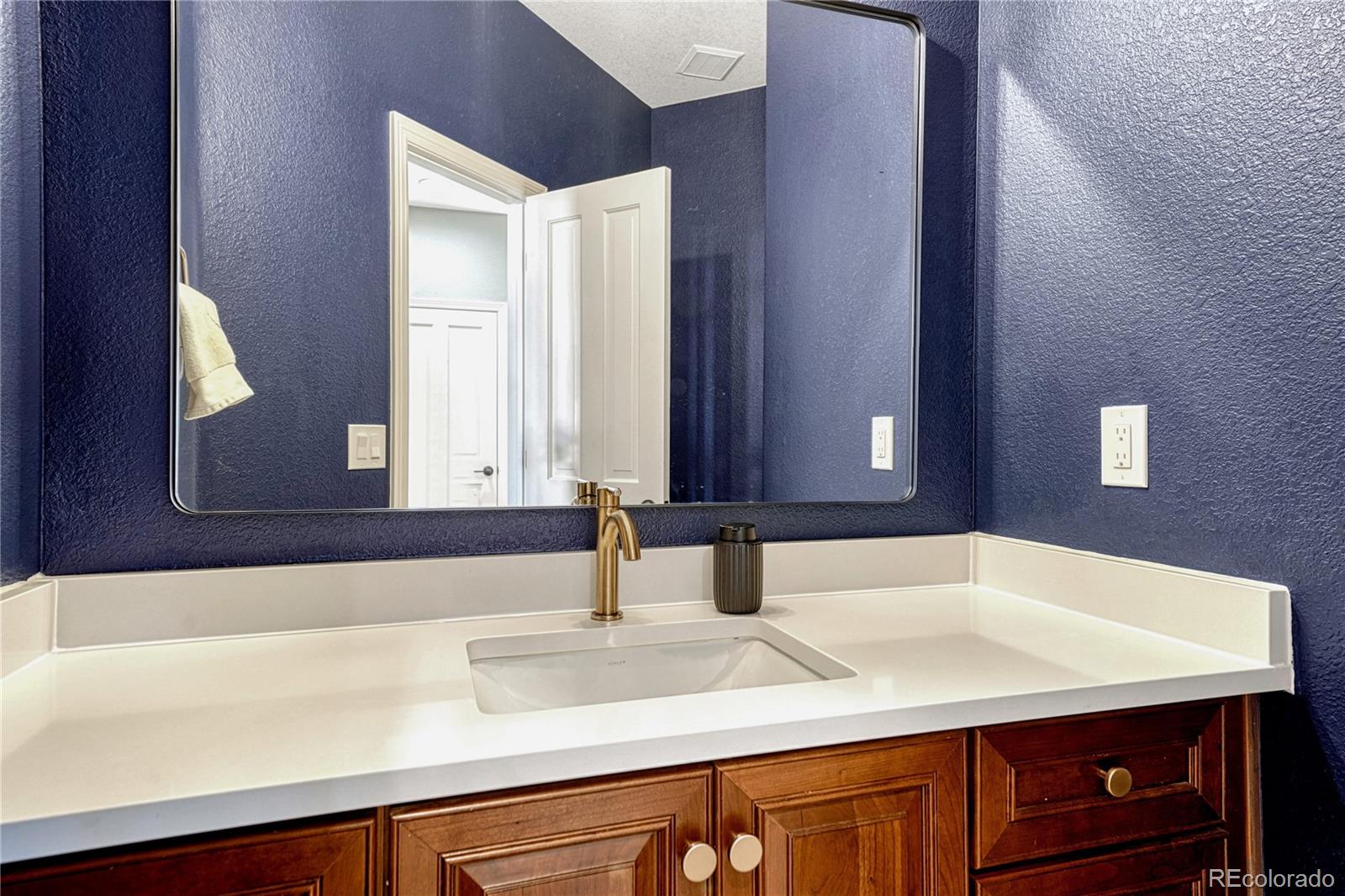 1575 Ridgetrail Court Castle Rock, CO 80104 - Photo 19 of 45