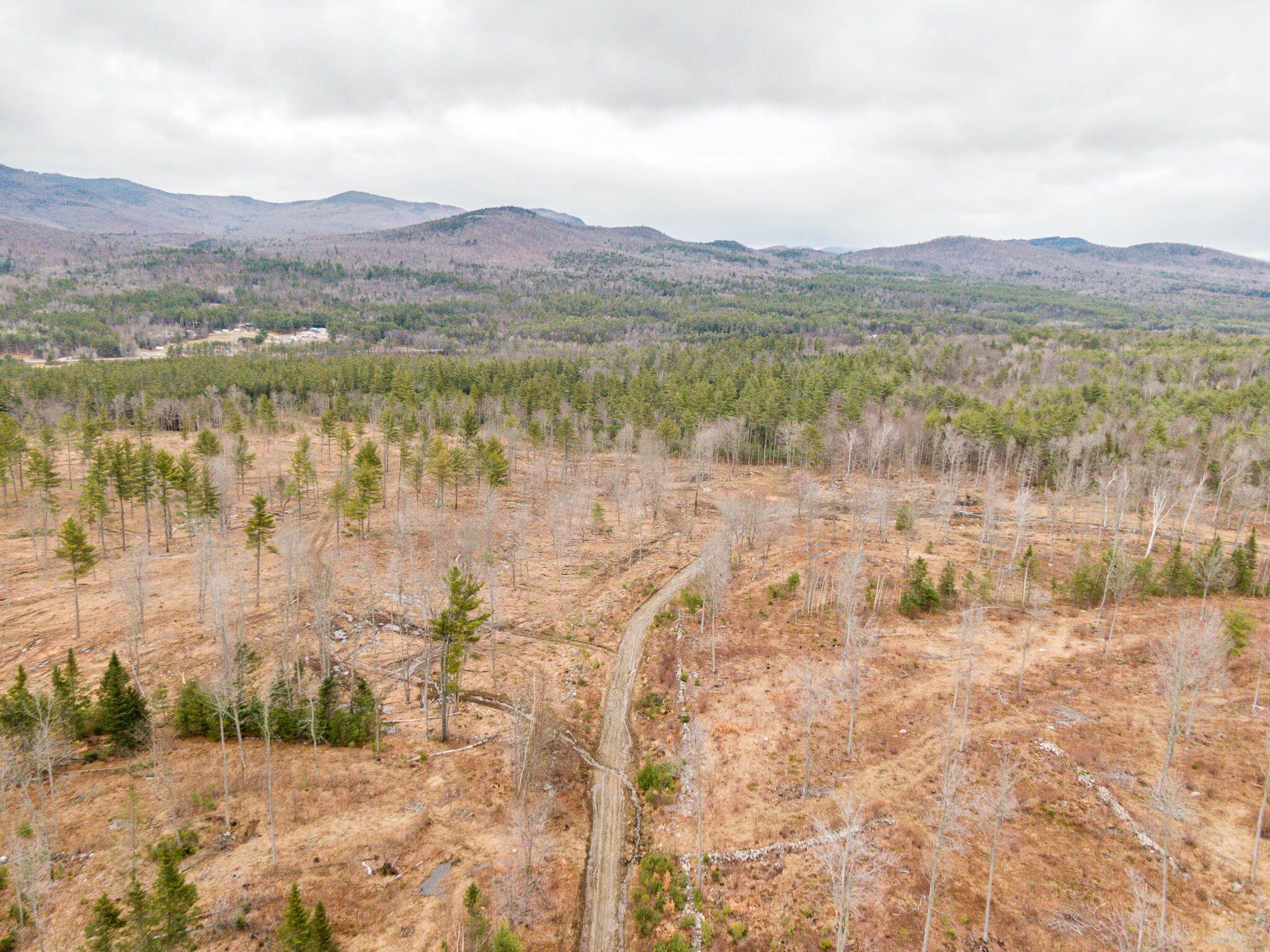 Tbd Swan Hill Road Bethel, ME 04217 - Photo 17 of 20 Swan Hill Lot-19