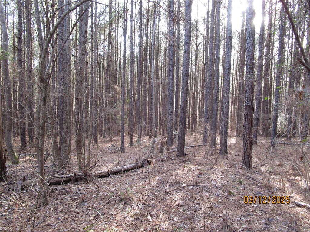 0 Obie Smith Road Natchitoches, LA 71457 - Photo 12 of 14