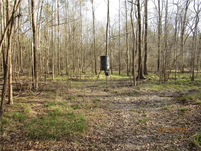 $199,900 | 0 Obie Smith Road, Natchitoches, LA 71457