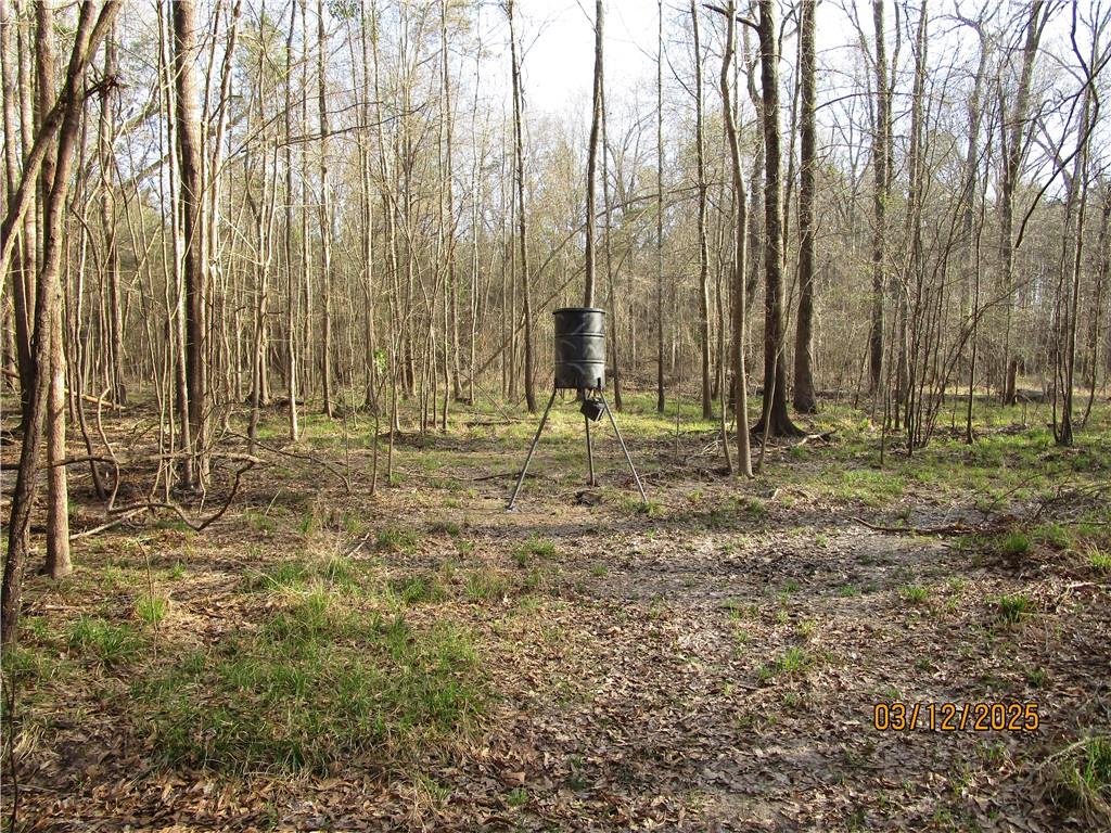 0 Obie Smith Road Natchitoches, LA 71457 - Photo 13 of 14