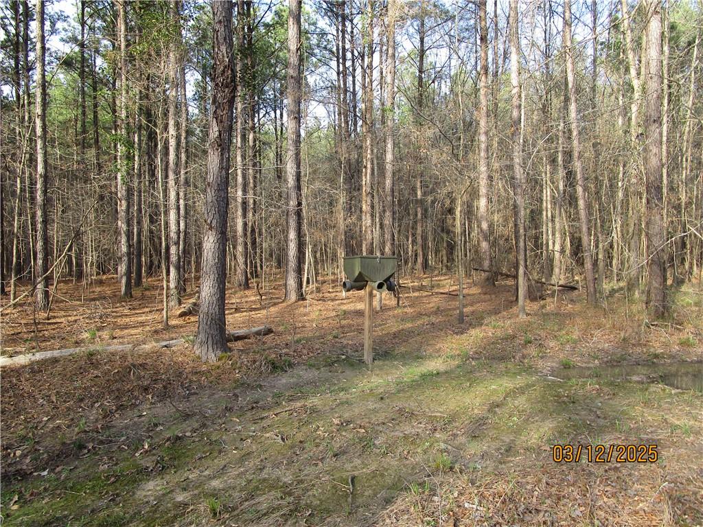 0 Obie Smith Road Natchitoches, LA 71457 - Photo 14 of 14