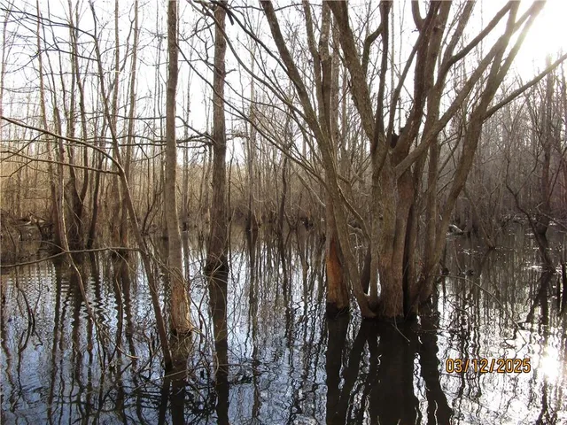 $199,900 | 0 Obie Smith Road, Natchitoches, LA 71457