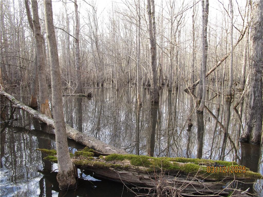 0 Obie Smith Road Natchitoches, LA 71457 - Photo 3 of 14