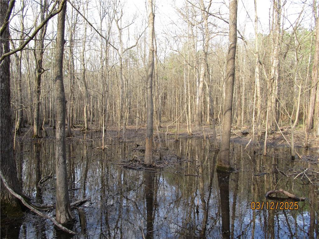 0 Obie Smith Road Natchitoches, LA 71457 - Photo 4 of 14