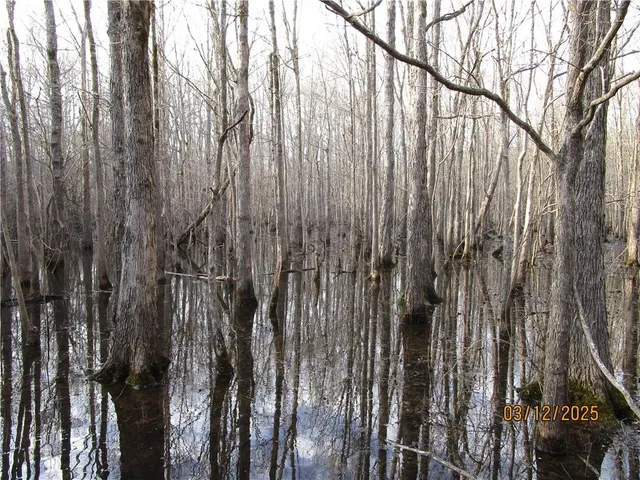 $199,900 | 0 Obie Smith Road, Natchitoches, LA 71457