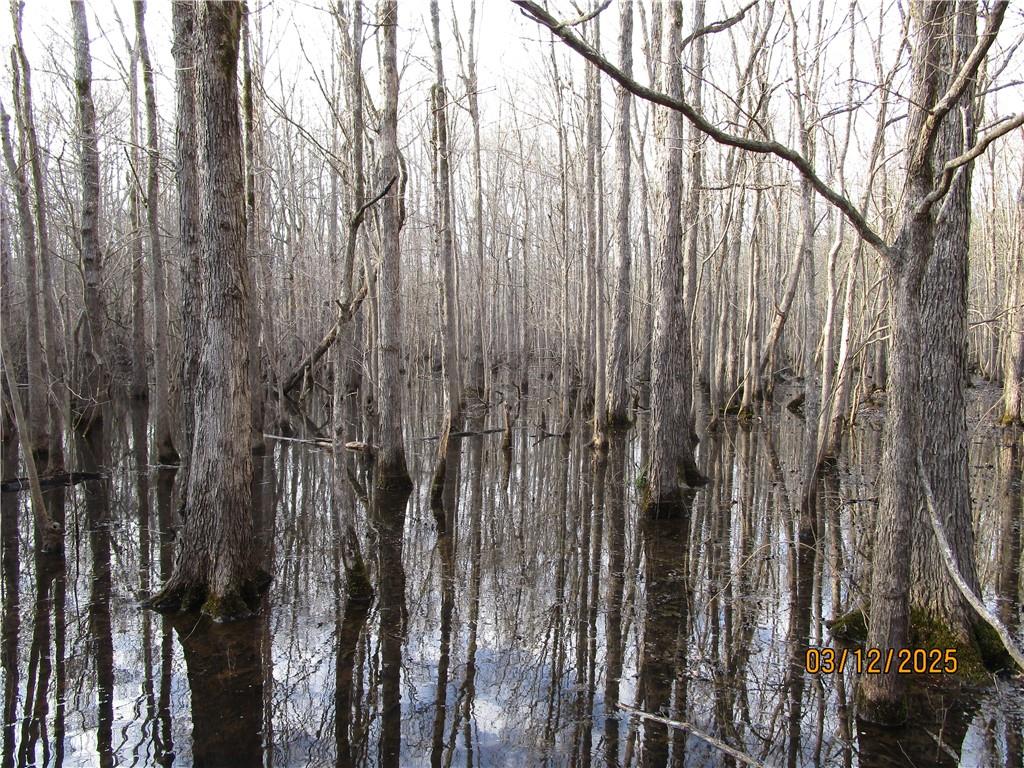 0 Obie Smith Road Natchitoches, LA 71457 - Photo 5 of 14