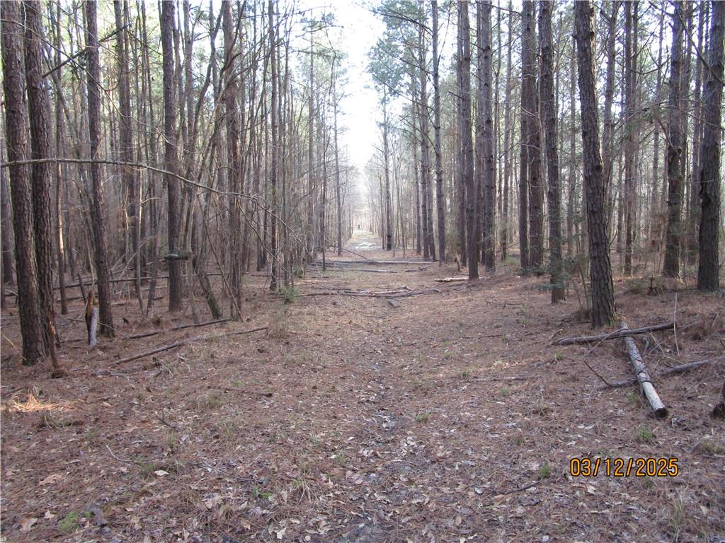 0 Obie Smith Road Natchitoches, LA 71457 - Photo 7 of 14