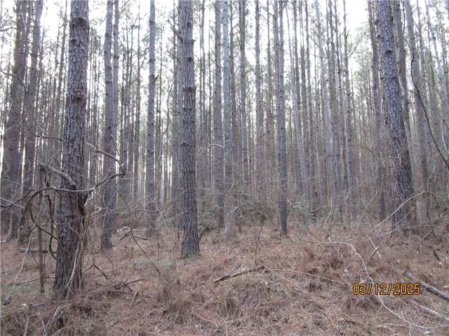 $199,900 | 0 Obie Smith Road, Natchitoches, LA 71457