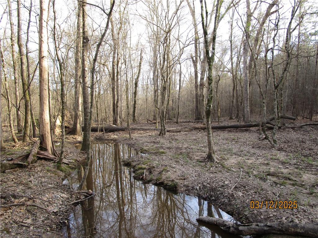 0 Obie Smith Road Natchitoches, LA 71457 - Photo 9 of 14