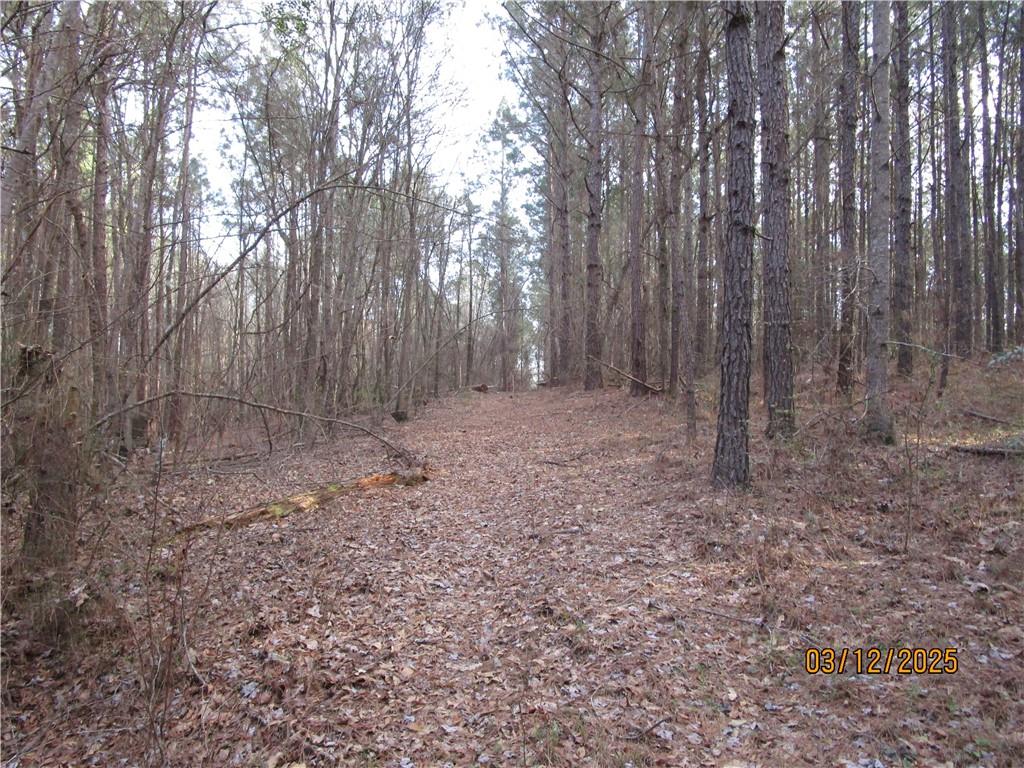 0 Obie Smith Road Natchitoches, LA 71457 - Photo 10 of 14