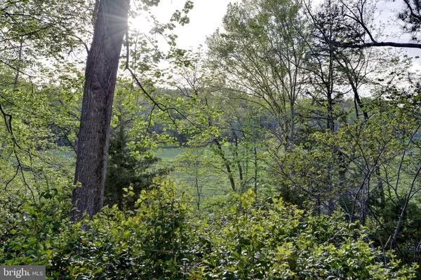 $1,100,000 | 20 The Palisades, Williamsburg, VA 23185