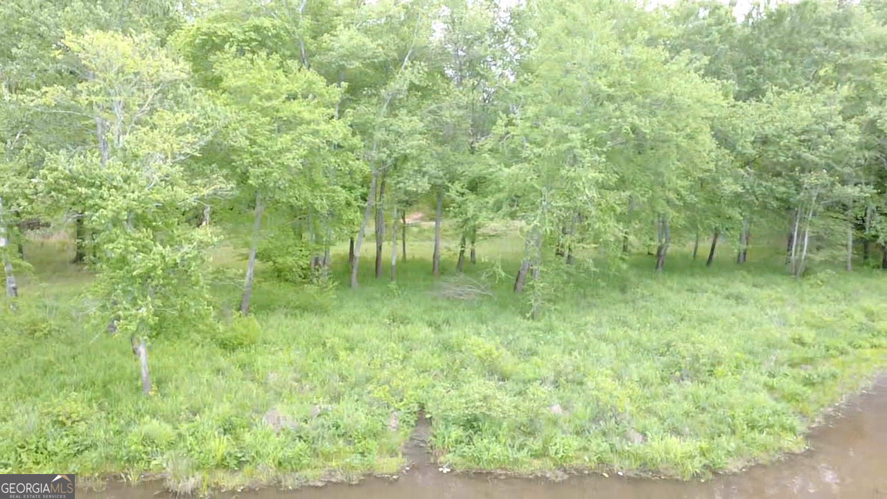 1257 Brush Creek Road Colbert, GA 30628 - Photo 11 of 16
