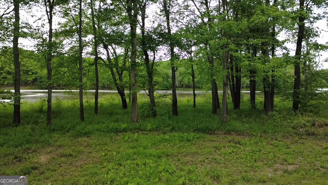 1257 Brush Creek Road Colbert, GA 30628 - Photo 12 of 16