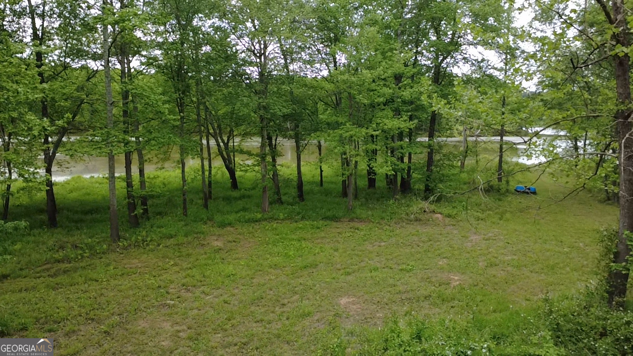 1257 Brush Creek Road Colbert, GA 30628 - Photo 13 of 16