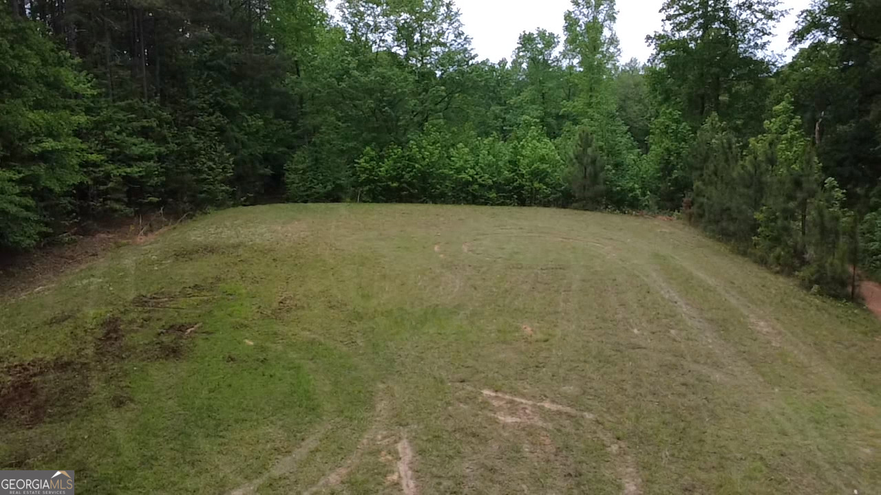 1257 Brush Creek Road Colbert, GA 30628 - Photo 3 of 16