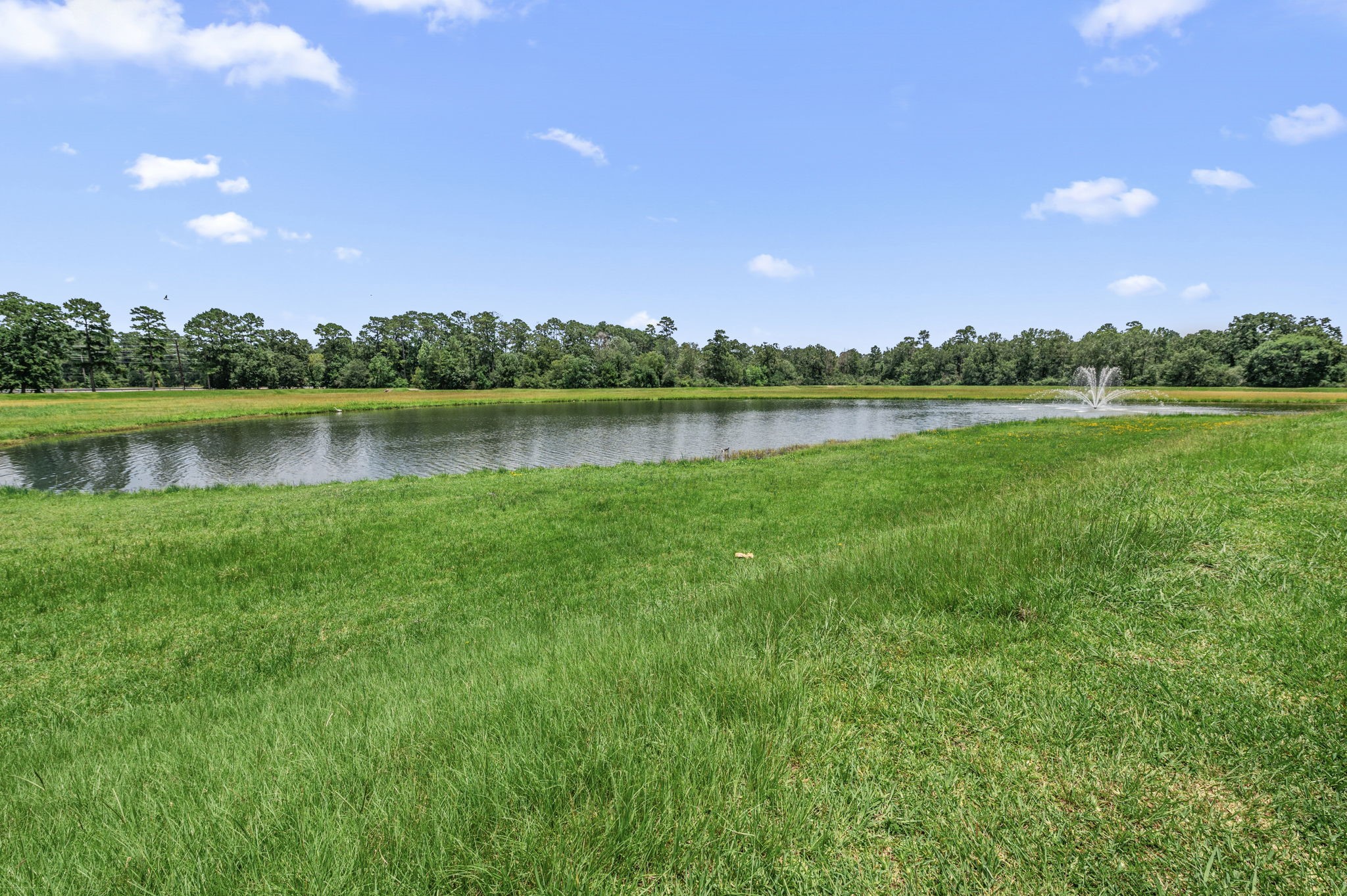 6115 Caroline Green Court Spring, TX 77373 - Photo 29 of 32