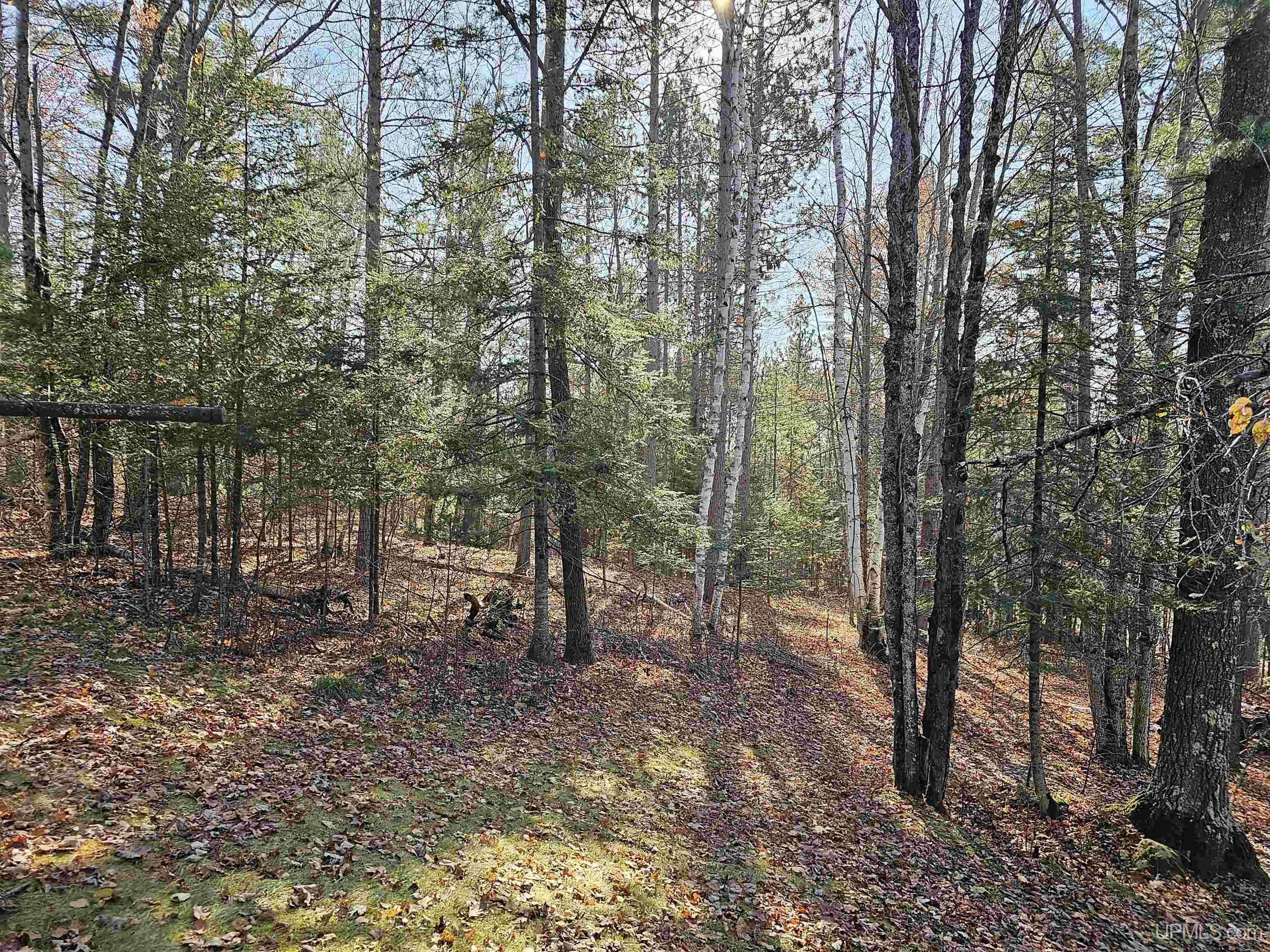 N10526 Cootware Road Felch, MI 49877 - Photo 34 of 41