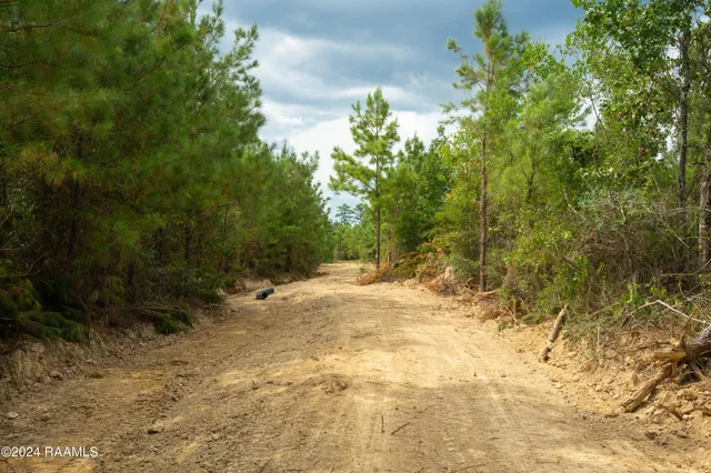 $1,025,500 | 1 Vie Terre Beau Road, Basile, LA 70515