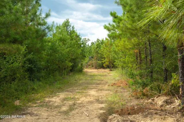 $1,025,500 | 1 Vie Terre Beau Road, Basile, LA 70515