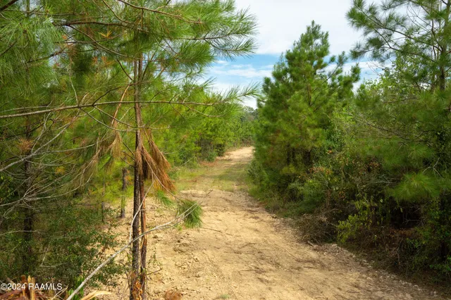 $1,025,500 | 1 Vie Terre Beau Road, Basile, LA 70515