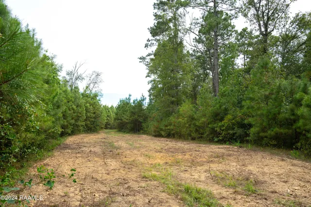 $1,025,500 | 1 Vie Terre Beau Road, Basile, LA 70515