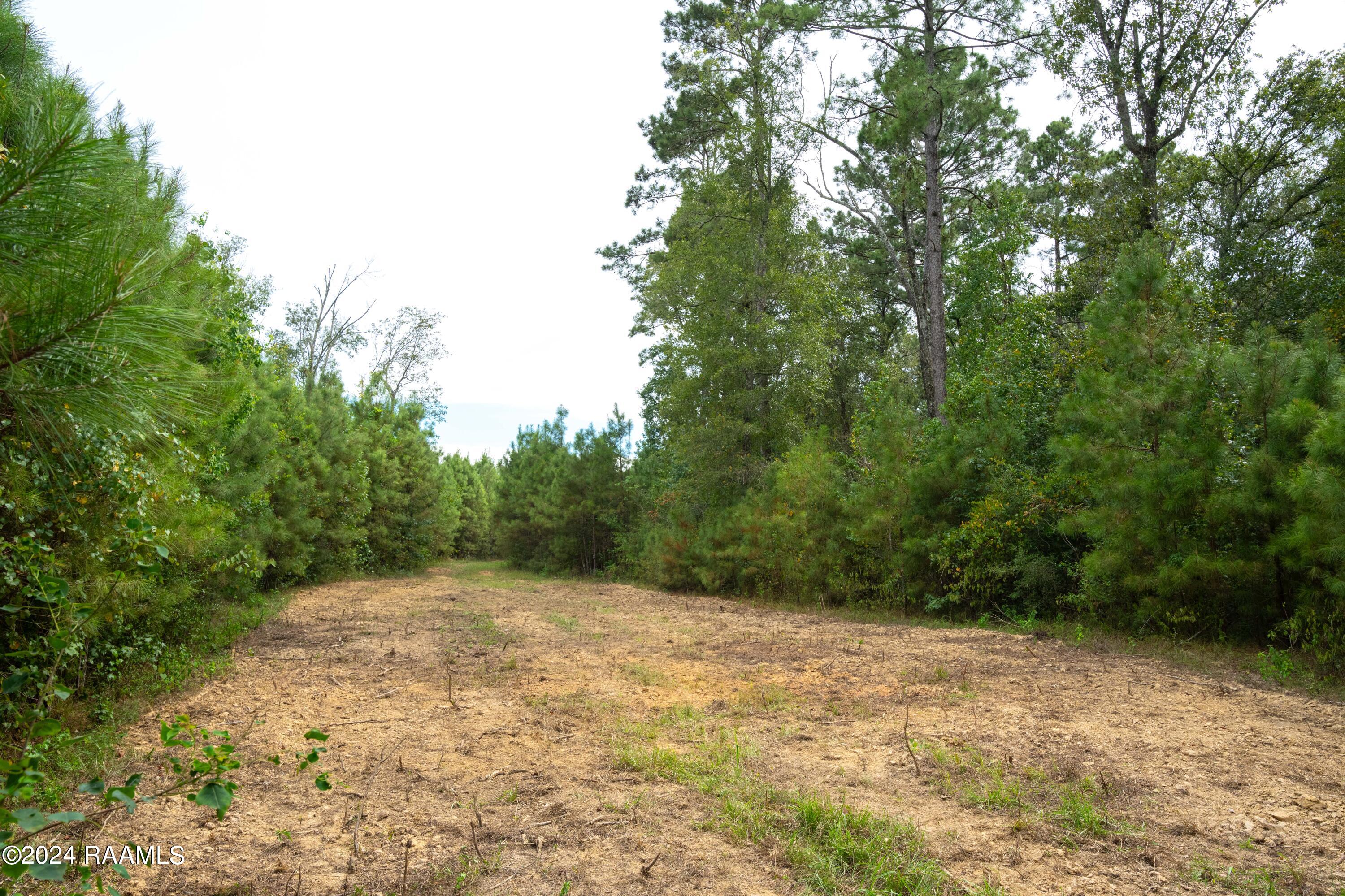 1 Vie Terre Beau Road Basile, LA 70515 - Photo 15 of 36 AcadiaWoods-19