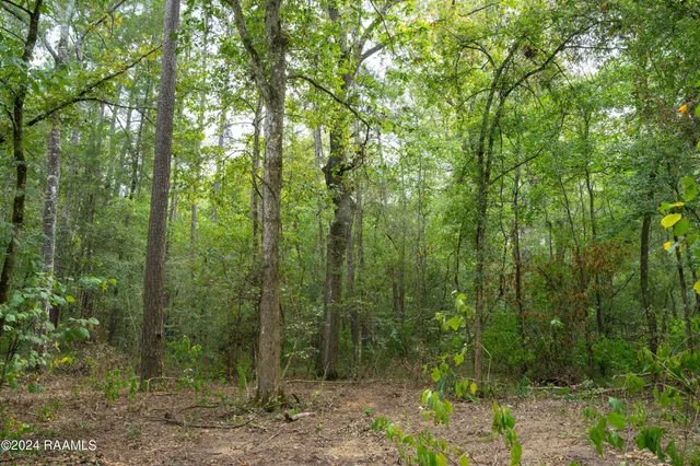 $1,025,500 | 1 Vie Terre Beau Road, Basile, LA 70515