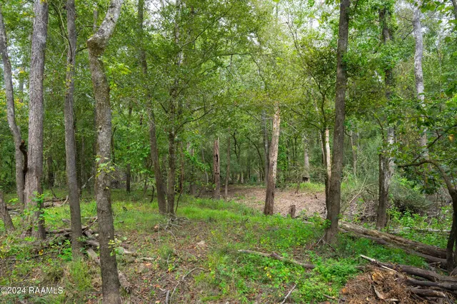 $1,025,500 | 1 Vie Terre Beau Road, Basile, LA 70515