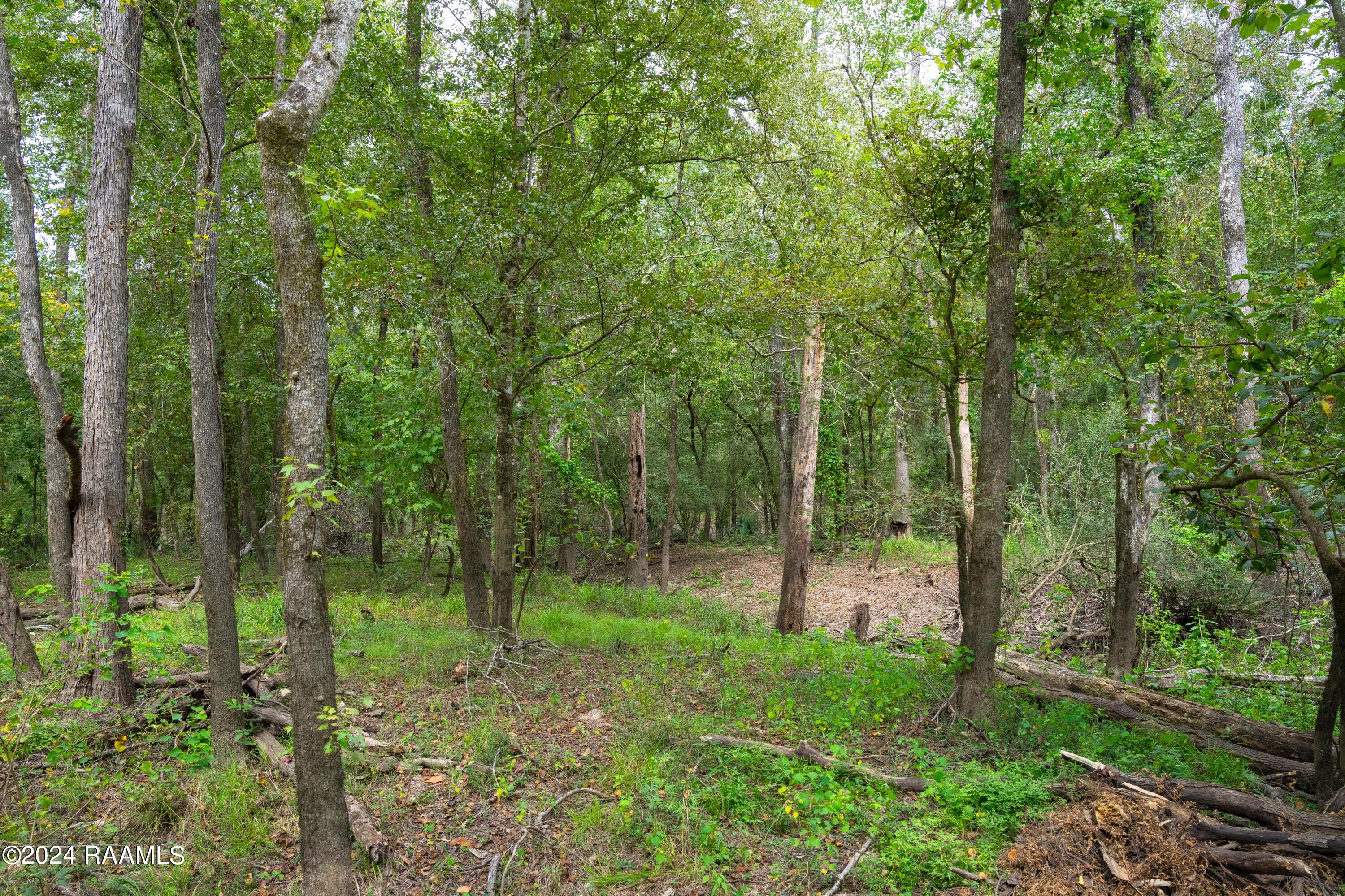 1 Vie Terre Beau Road Basile, LA 70515 - Photo 18 of 36 AcadiaWoods-22