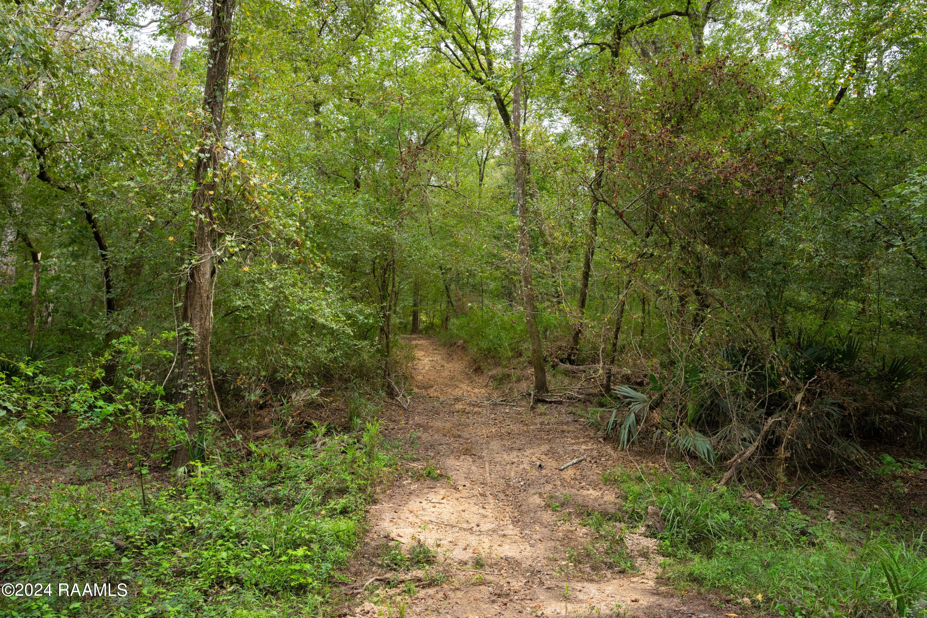 1 Vie Terre Beau Road Basile, LA 70515 - Photo 19 of 36 AcadiaWoods-23