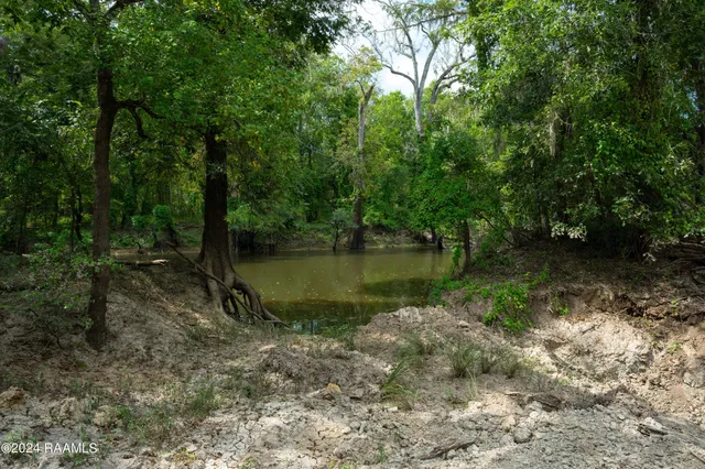 $1,025,500 | 1 Vie Terre Beau Road, Basile, LA 70515