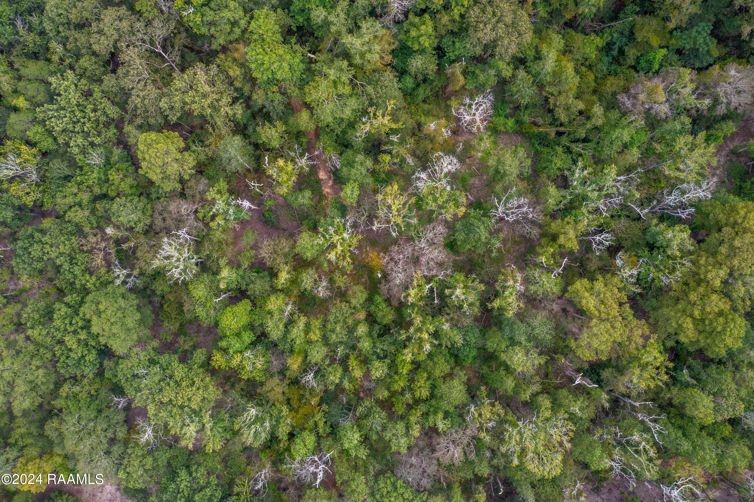 1 Vie Terre Beau Road Basile, LA 70515 - Photo 22 of 36 AcadiaWoods-30