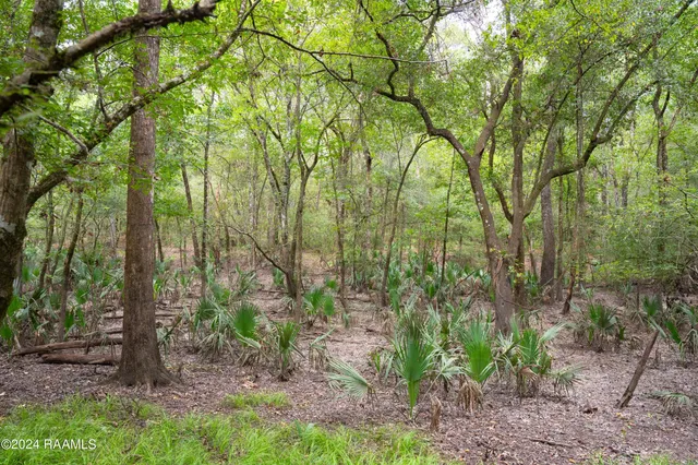 $1,025,500 | 1 Vie Terre Beau Road, Basile, LA 70515