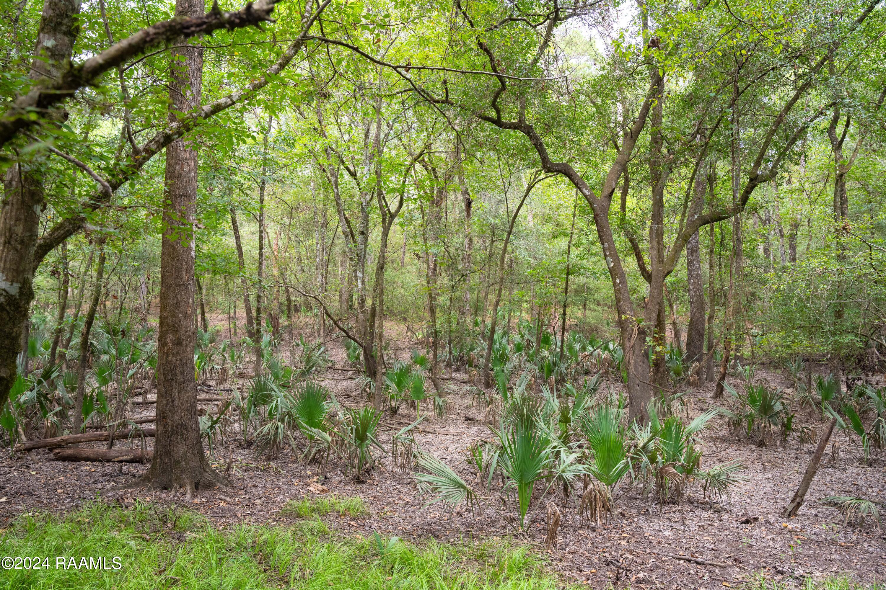 1 Vie Terre Beau Road Basile, LA 70515 - Photo 23 of 36 AcadiaWoods-31