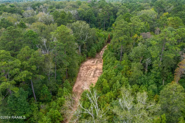 $1,025,500 | 1 Vie Terre Beau Road, Basile, LA 70515