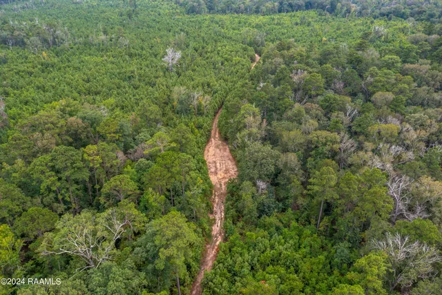 $1,025,500 | 1 Vie Terre Beau Road, Basile, LA 70515