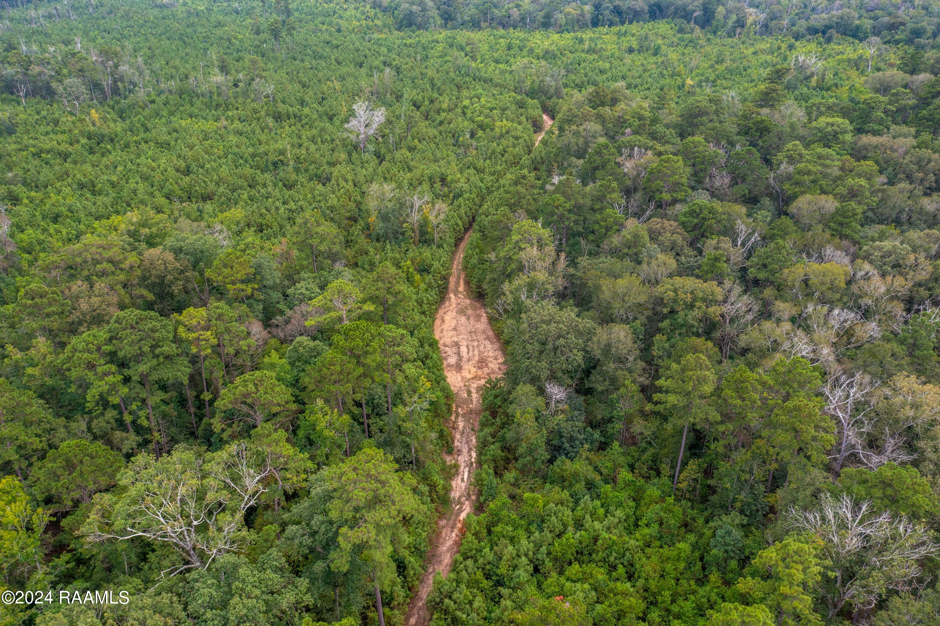 1 Vie Terre Beau Road Basile, LA 70515 - Photo 26 of 36 AcadiaWoods-36