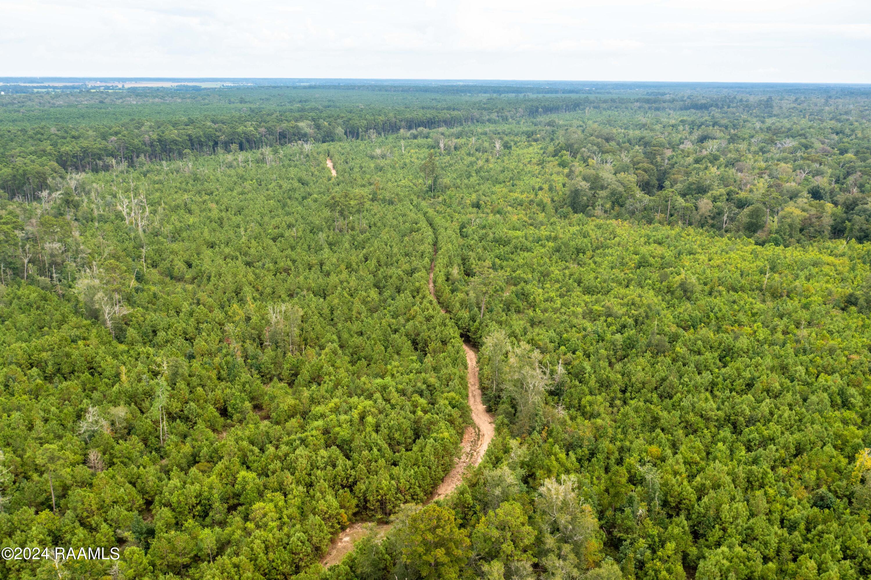 1 Vie Terre Beau Road Basile, LA 70515 - Photo 27 of 36 AcadiaWoods-37