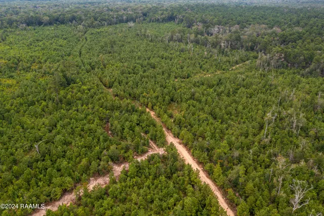 $1,025,500 | 1 Vie Terre Beau Road, Basile, LA 70515