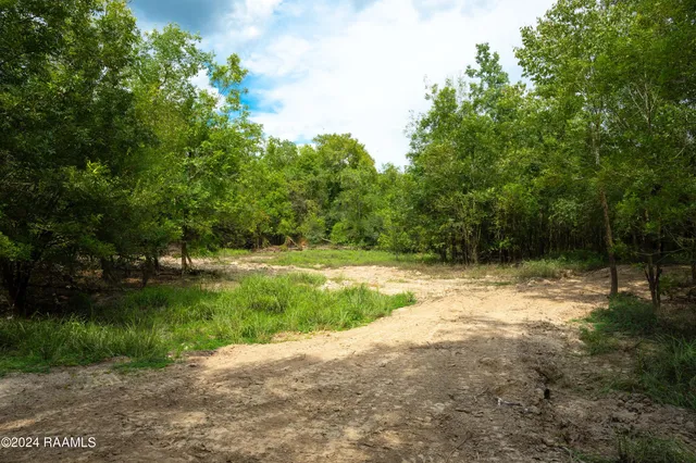 $1,025,500 | 1 Vie Terre Beau Road, Basile, LA 70515