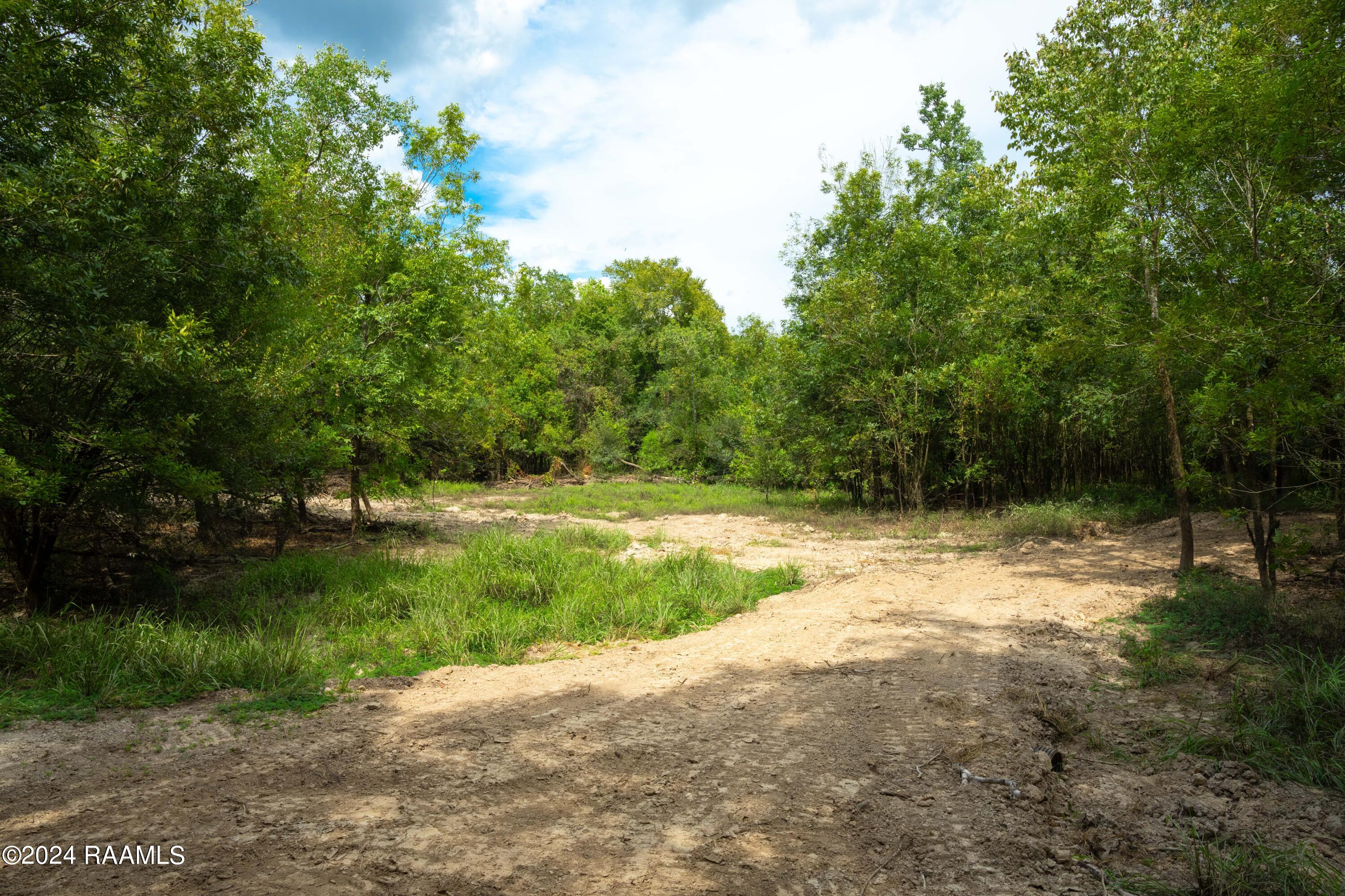 1 Vie Terre Beau Road Basile, LA 70515 - Photo 3 of 36 AcadiaWoods-3