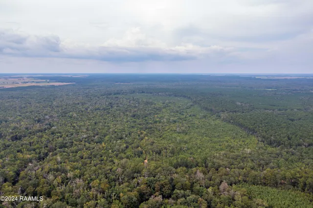 $1,025,500 | 1 Vie Terre Beau Road, Basile, LA 70515