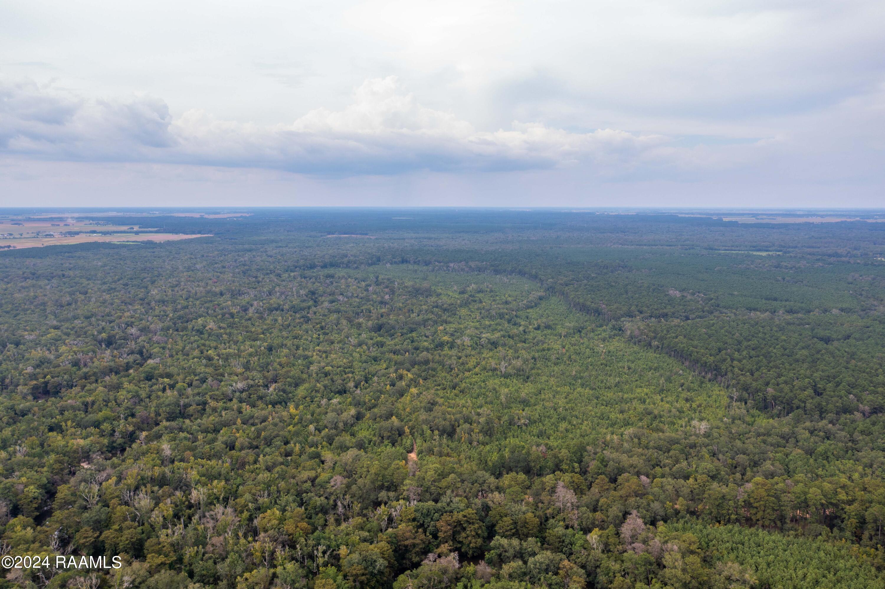 1 Vie Terre Beau Road Basile, LA 70515 - Photo 32 of 36 AcadiaWoods-44
