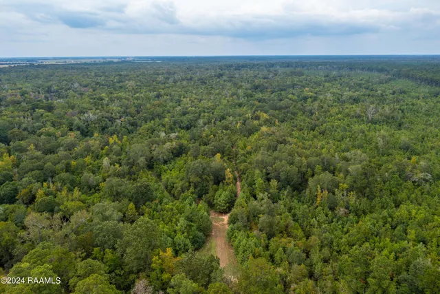 $1,025,500 | 1 Vie Terre Beau Road, Basile, LA 70515