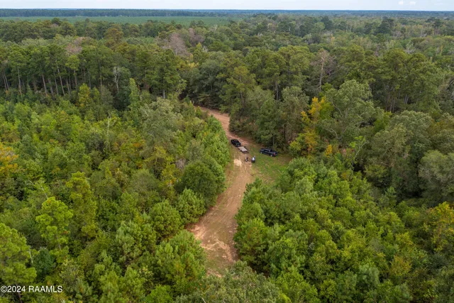 $1,025,500 | 1 Vie Terre Beau Road, Basile, LA 70515