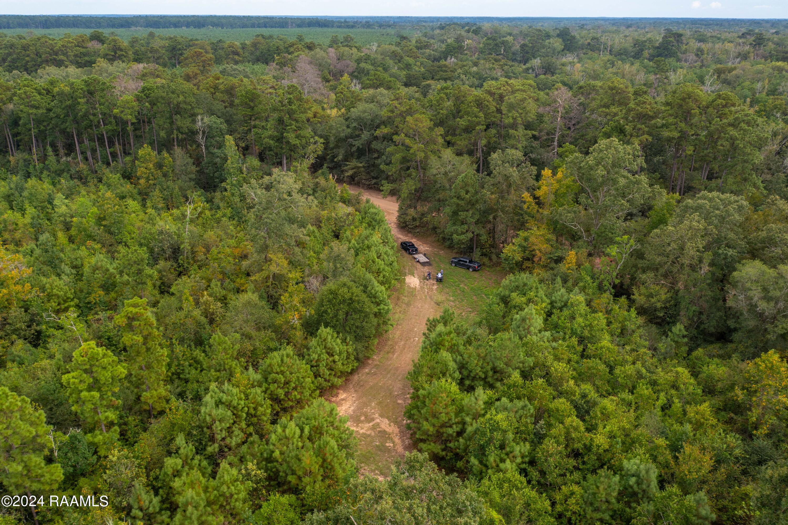 1 Vie Terre Beau Road Basile, LA 70515 - Photo 34 of 36 AcadiaWoods-47