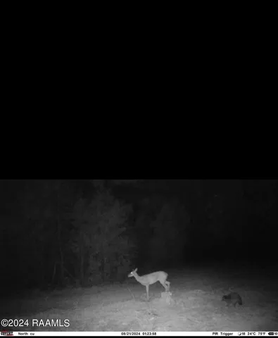 $1,025,500 | 1 Vie Terre Beau Road, Basile, LA 70515