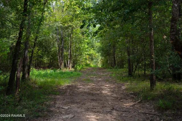 $1,025,500 | 1 Vie Terre Beau Road, Basile, LA 70515